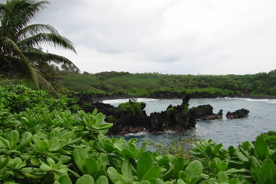 ../image/waianapanapa park.jpg